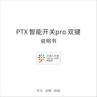 PTX 超薄美学开关 双键